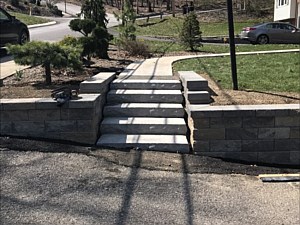 Bethel Park Steps